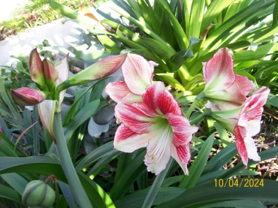100_9754.jpg