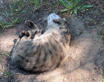 sand1.jpg