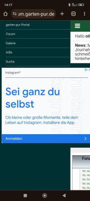 Screenshot_2024-06-17-14-17-14-618_com.android.chrome.jpg