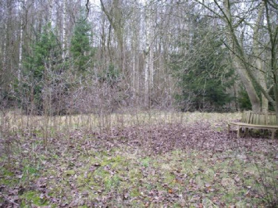 neu-229.jpg