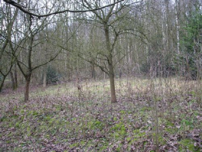 neu-230.jpg
