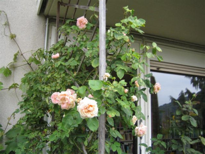IMG_3213_Small.JPG