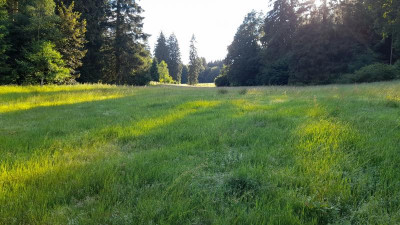 IMG-20240619-WA0020.jpeg