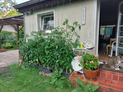 20240620_070349.jpg
