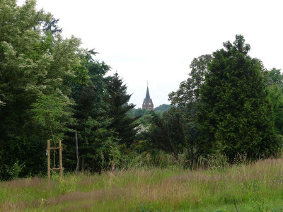 2024-06-21 Garteneinblick 18.jpg