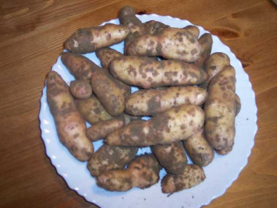 K640_100_5767.JPG