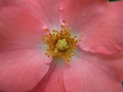 IMG_0753a.jpg