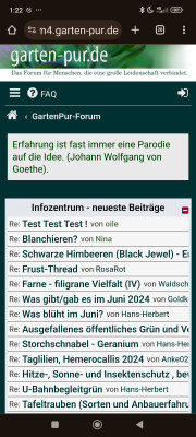 Screenshot_2024-07-13-01-22-37-839_com.android.chrome.jpg