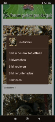 Screenshot_2024-07-24-14-25-24-747_com.android.chrome.jpg