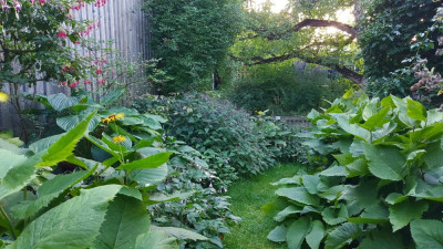 20240811_224504.jpg