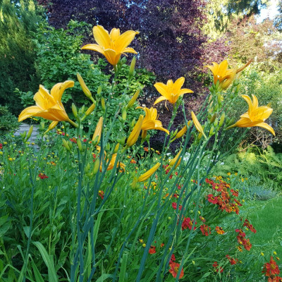 Berleyer Septembersonne