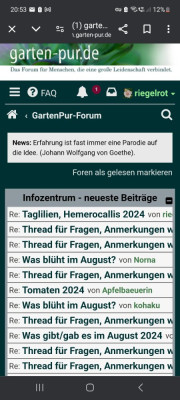 Screenshot_20240814_205327_Chrome.jpg