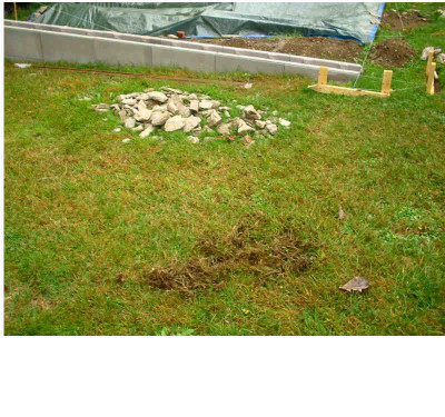 Dachs_Gartenhaus.jpg