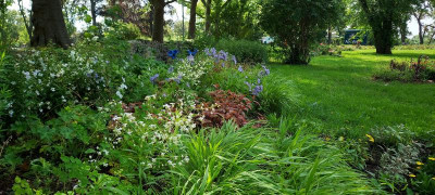 20240627_113006.jpg