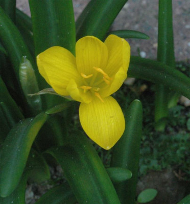 A6844a_Large.JPG