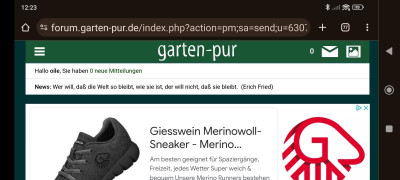 Screenshot_2024-06-29-12-23-19-410_com.android.chrome.jpg