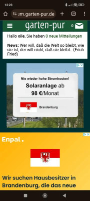 Screenshot_2024-06-29-12-23-42-420_com.android.chrome.jpg