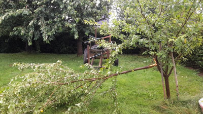 IMG-20240630-WA0001.jpeg