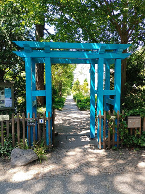 Foerstergarten20240629_125535.jpg