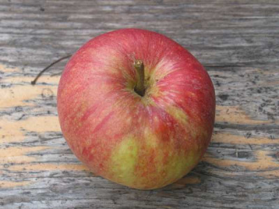 Apfel_1.jpg