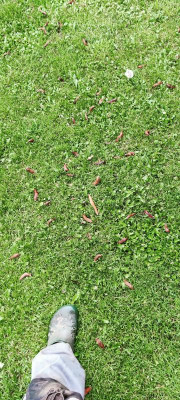 IMG_20240630_211203.jpg