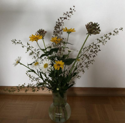 IMG_4437.jpeg