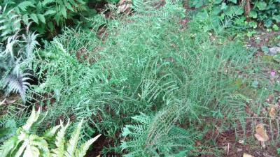 IMG_20240702_190344.jpg