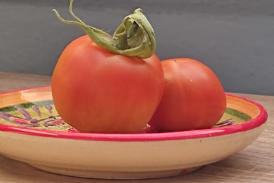 Fruehe Liebe.jpg