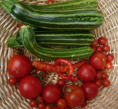 ernte_080827.jpg