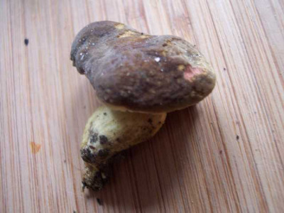 K640_100_5786.JPG