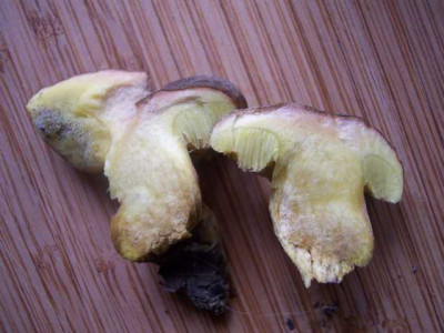 K640_100_5788.JPG