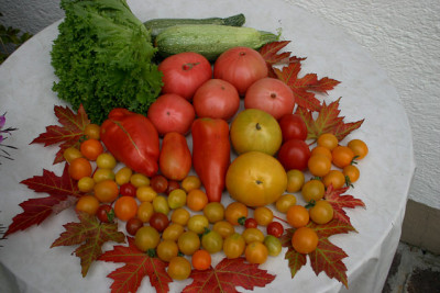 August2408.jpg