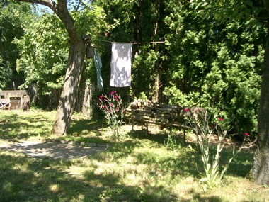IMGP6275.JPG