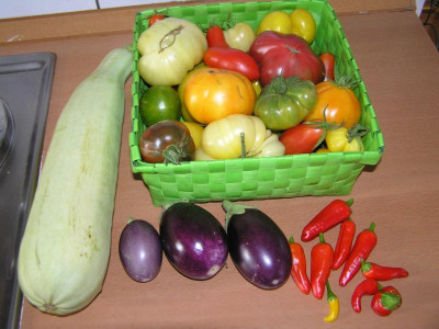 ernte290808.jpg