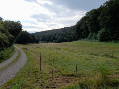 20240711_082350.jpg