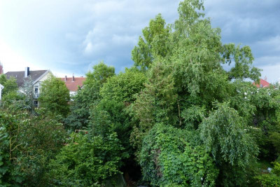 P1070698.JPG