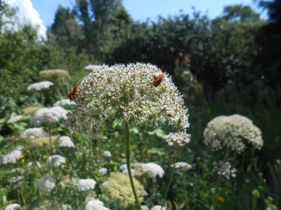 DSCN7594.JPG