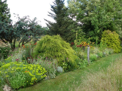 2024-07-14 'Garteneinblick 6.jpg