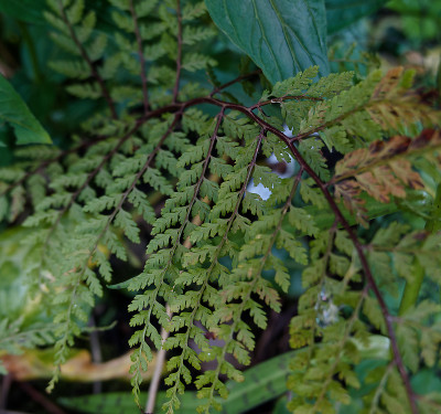 DSC01999_DxO.jpg