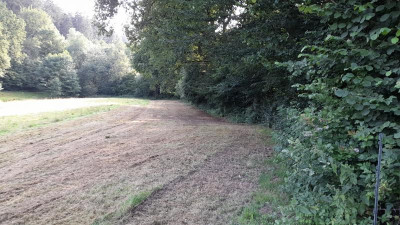 IMG-20240717-WA0012.jpeg