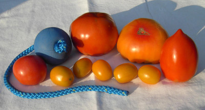 PICT2260b.jpg
