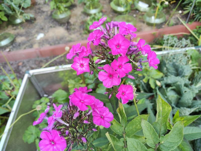 IMG_20240717_183458.jpg
