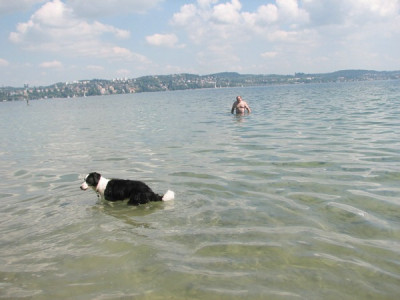 comp_-3Bodensee.08.08.jpg_047.jpg