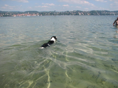 comp_3Bodensee.08.08.jpg_048.jpg
