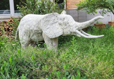 Elefant Rödental.jpg