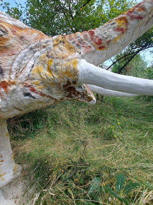 Elefant Rödental Unterlippe.jpg