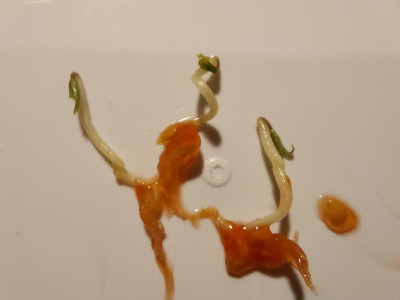 20240721_231008.jpg