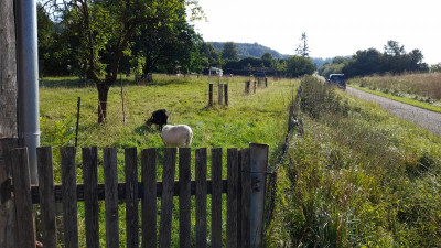 IMG-20240725-WA0005.jpeg