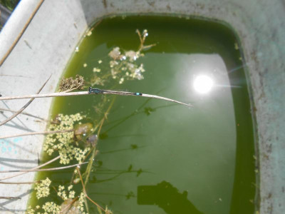 DSCN7720.JPG
