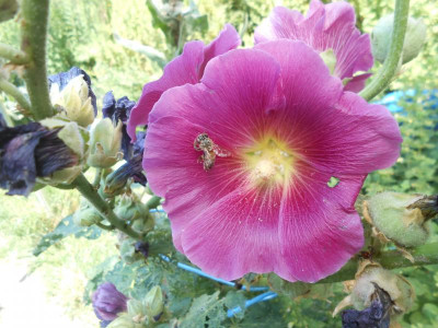 DSCN7684.JPG